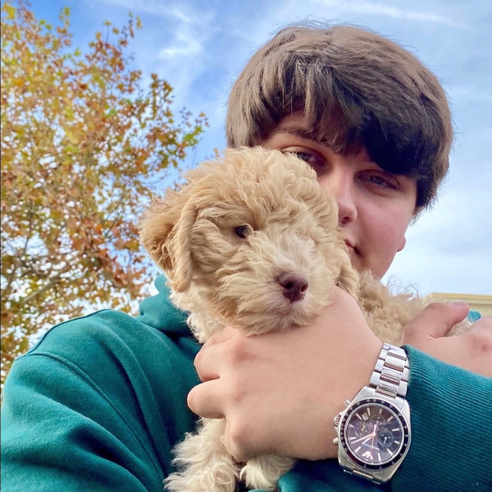 Meet your Posher, Aidan